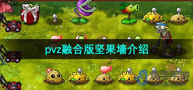 探索《植物大战僵尸》融合版：坚果墙攻略解析