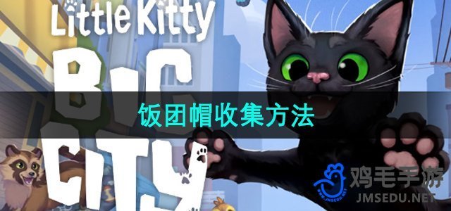 《都市萌宠收集攻略：小猫咪的饭团帽秘籍》