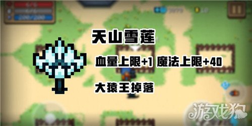 元气骑士：解锁天山雪莲全能秘密